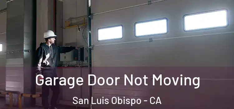  Garage Door Not Moving San Luis Obispo - CA