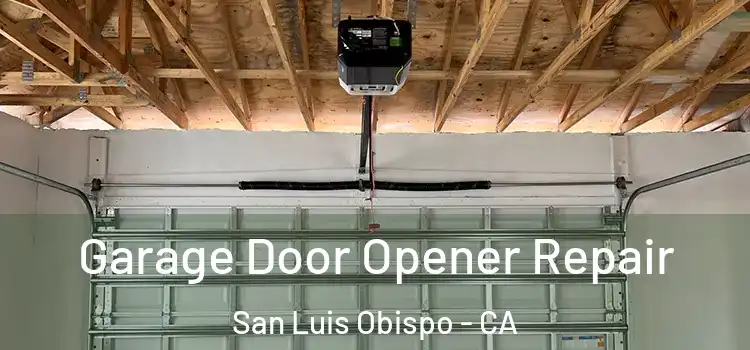 Garage Door Opener Repair San Luis Obispo - CA